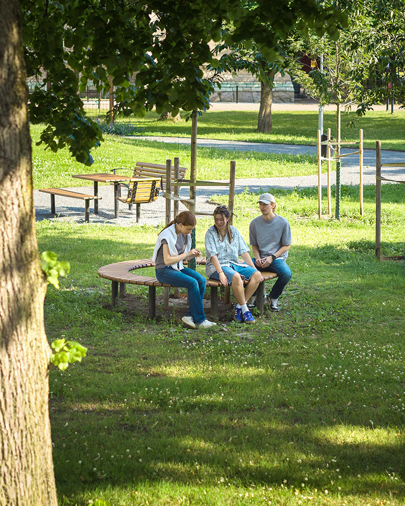 A group of teenagers hanging out on a Sofiero curved bench that goes around a tree..